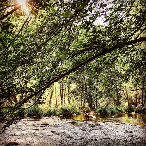 Photo post from __amber_lydic__.