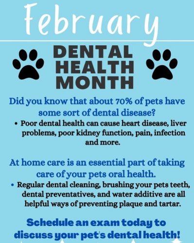 Photo post from familyanimalhospitalcm.