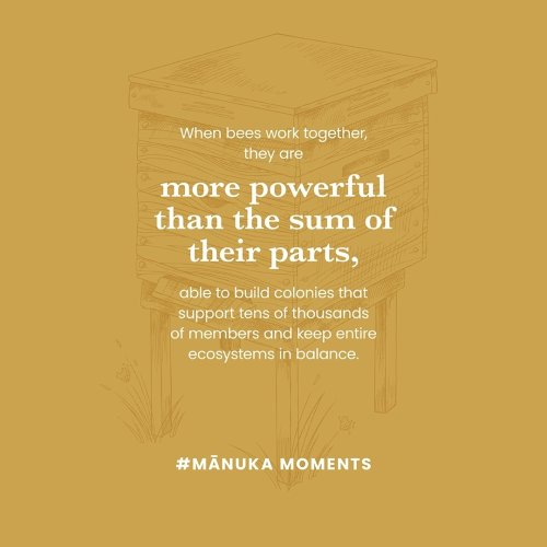 Photo post from comvita_nz.