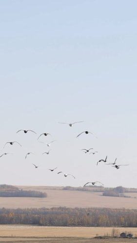 Video post from northernskiesoutfitters.