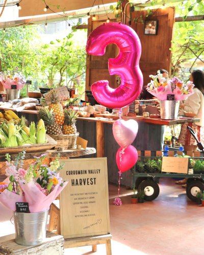 Carousel post from currumbinvalleyharvest.