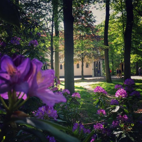 Photo post from visitoirschot.