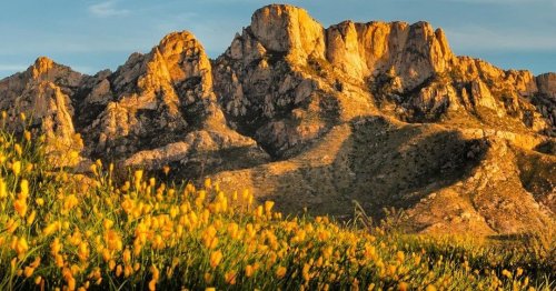 Photo post from visittucson.