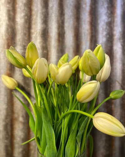 Photo post from blomsterborsen.