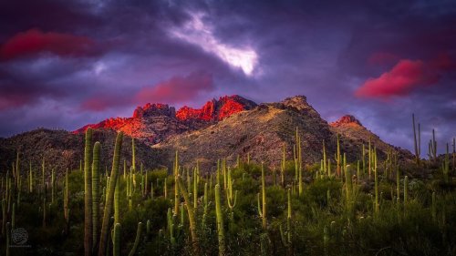 Photo post from visittucson.