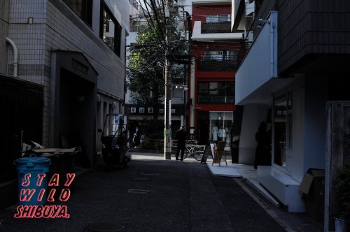 Photo post from play_shibuya.