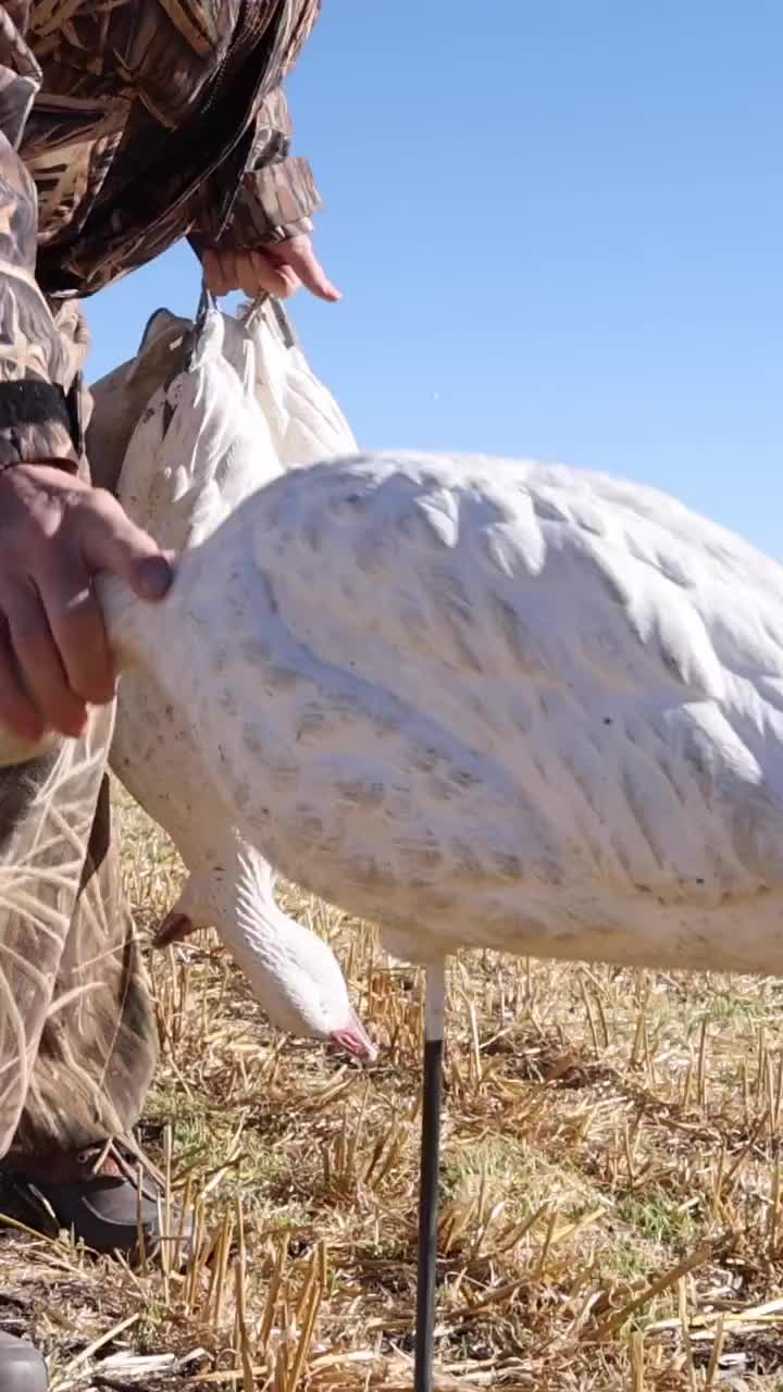 Video post from northernskiesoutfitters.