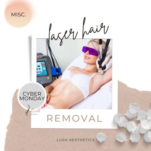Photo post from lushaestheticsky.
