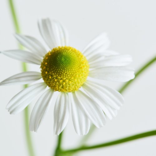 Photo post from dermed_official.