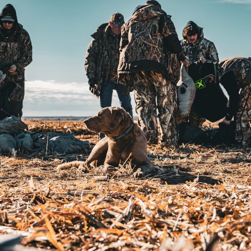 Photo post from northernskiesoutfitters.