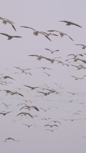 Video post from northernskiesoutfitters.