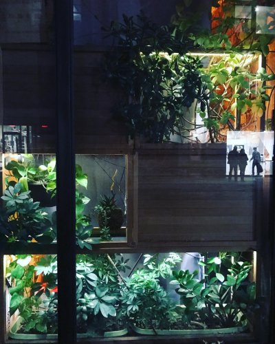 Photo post from nydreamer7.