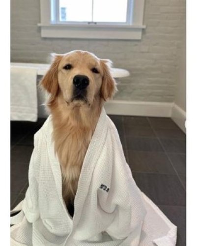 Photo post from hotelonnorth.
