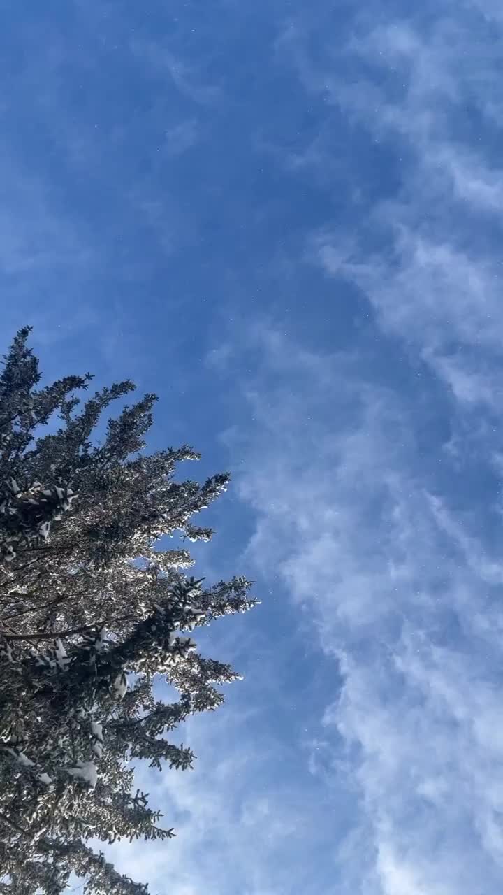 Video post from thescentedmermaid.