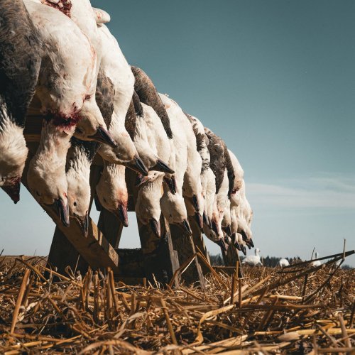 Photo post from northernskiesoutfitters.