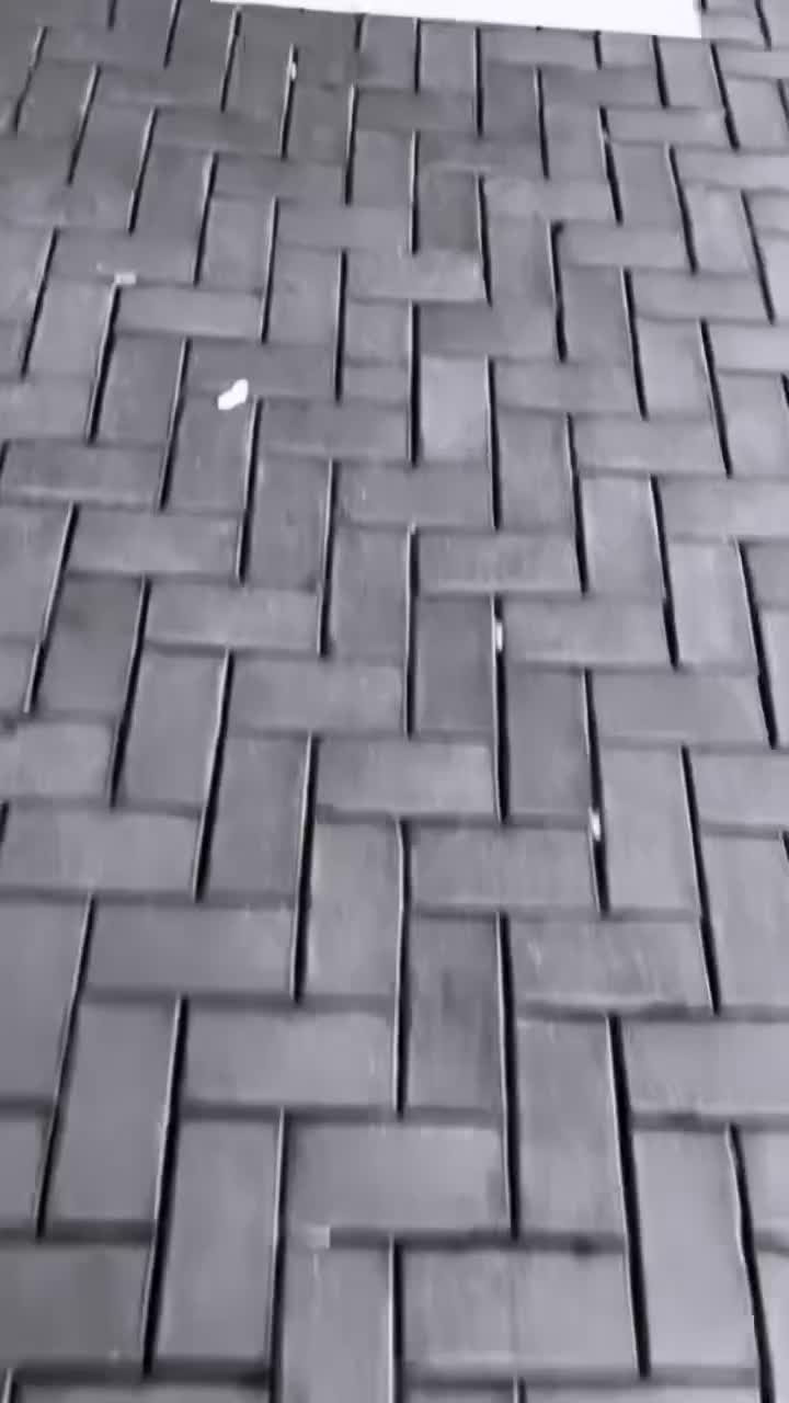 Video post from shabbiesamsterdam.