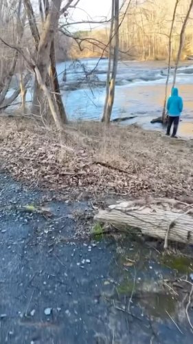 Video post from theheartofnc.
