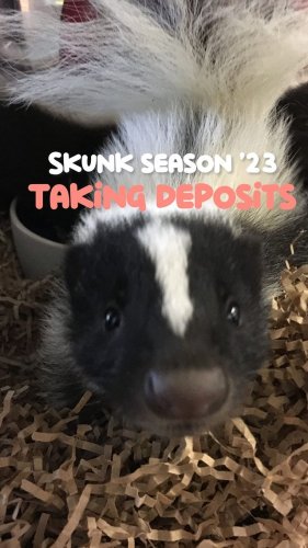 Video post from njexoticpets.