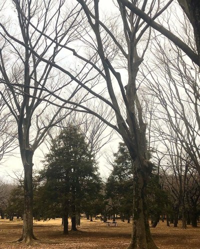 Carousel post from you.itabashi.