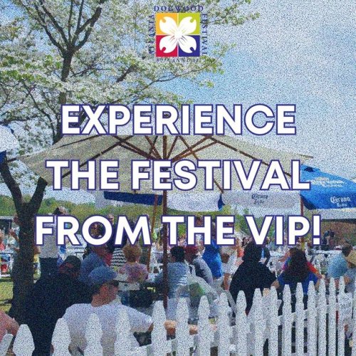 Video post from dogwoodfestival.