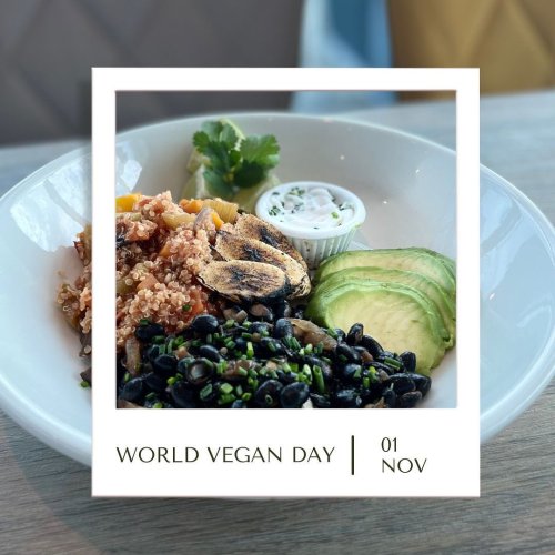 Photo post from glasshouseretreat.