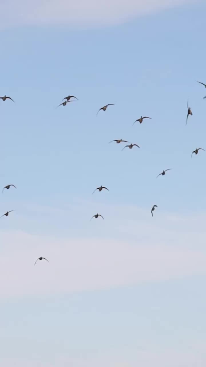 Video post from northernskiesoutfitters.