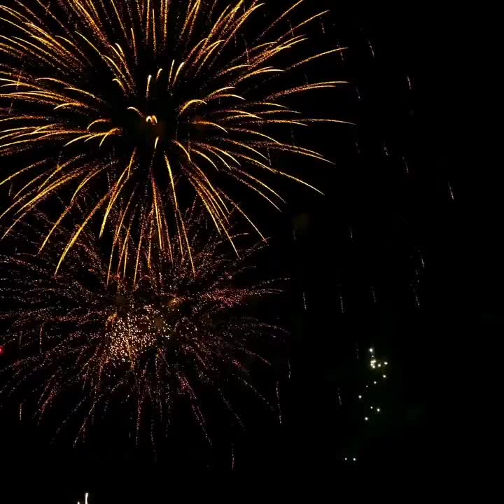 Video post from proximeo.