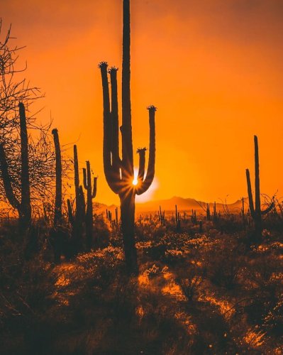 Photo post from visittucson.