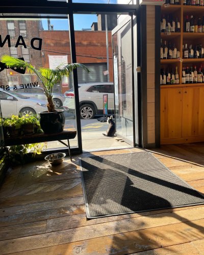 Photo post from dandywineshop.