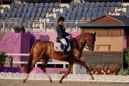 Carousel post from fei_global.