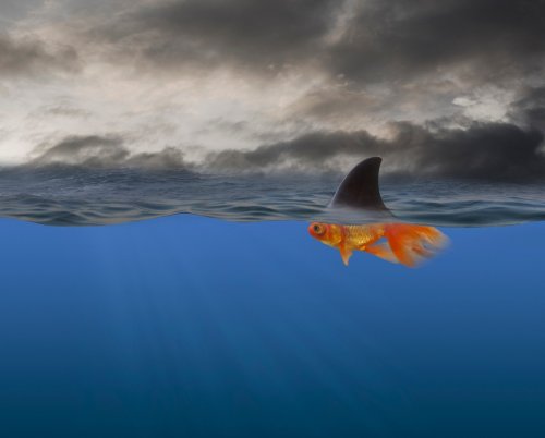 Photo post from jlythcotthaims.