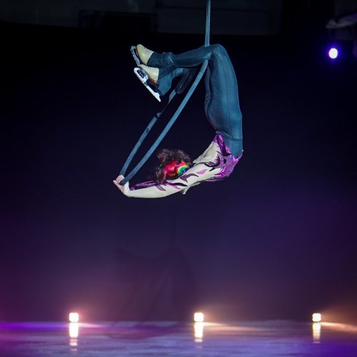 Carousel post from icetheatreofny.