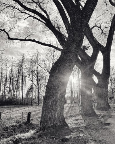 Photo post from visitoirschot.