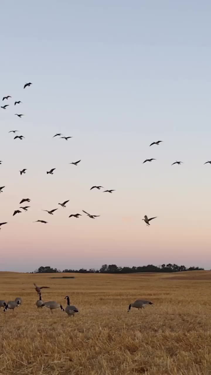 Video post from northernskiesoutfitters.