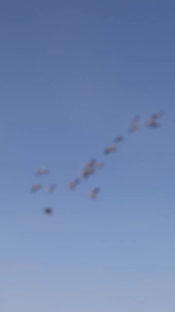 Video post from northernskiesoutfitters.