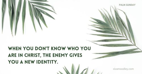 Carousel post from drsivamm.