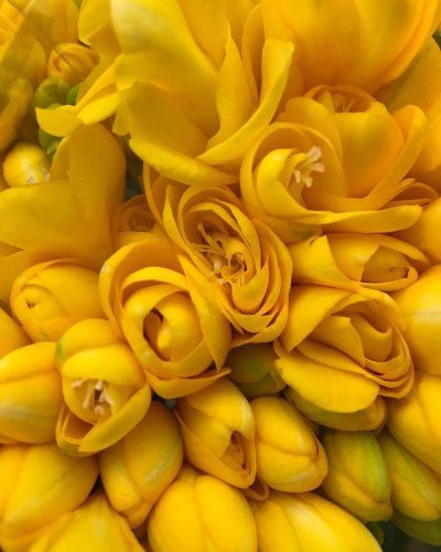 Carousel post from nydreamer7.