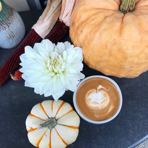 Photo post from equianocoffee.