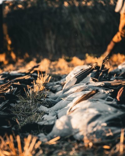 Photo post from northernskiesoutfitters.