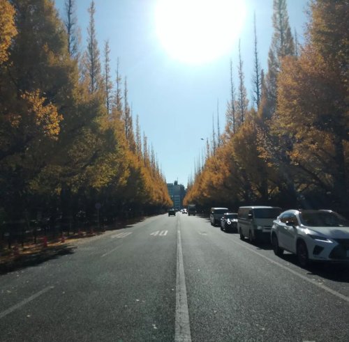 Photo post from taso248.
