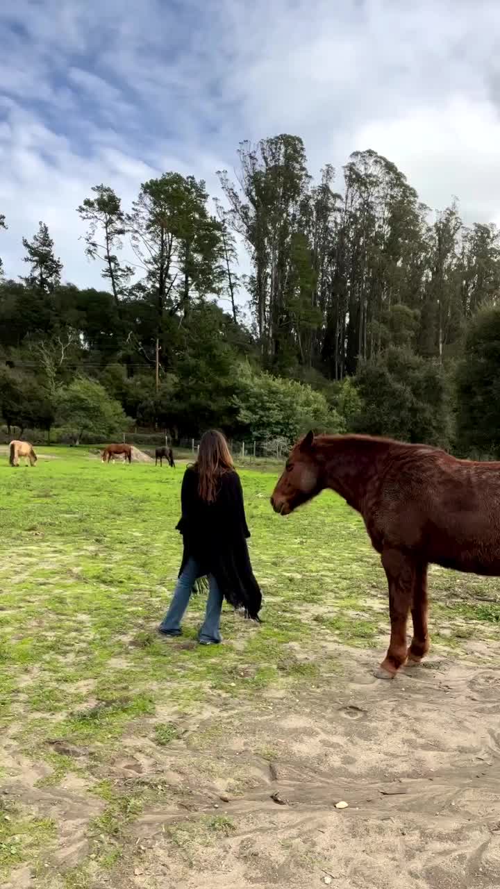 Video post from __amber_lydic__.