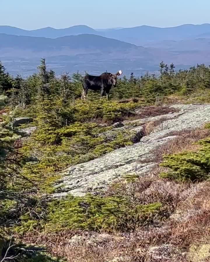 Carousel post from trekdirtyto.me.