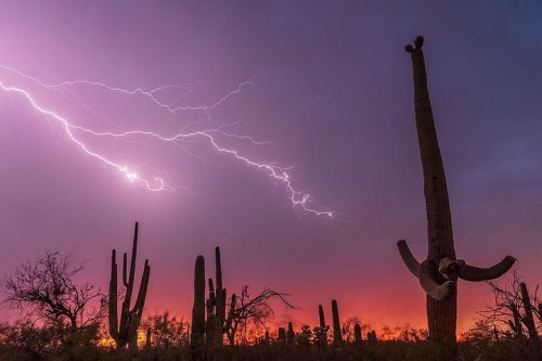 Carousel post from visittucson.