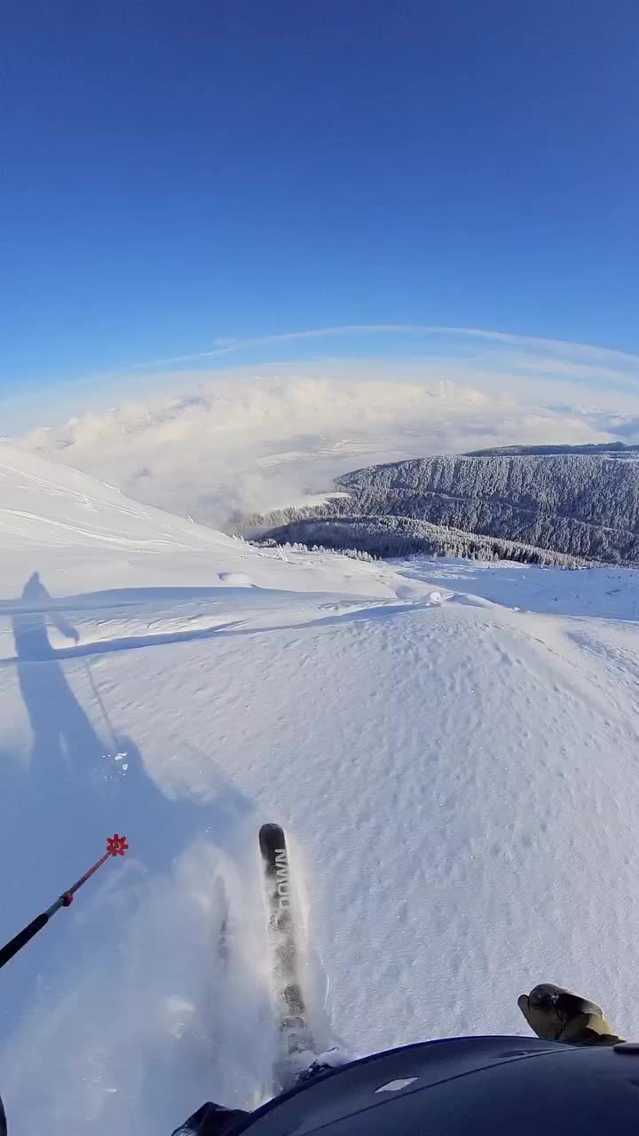 Video post from innsbrucktourism.