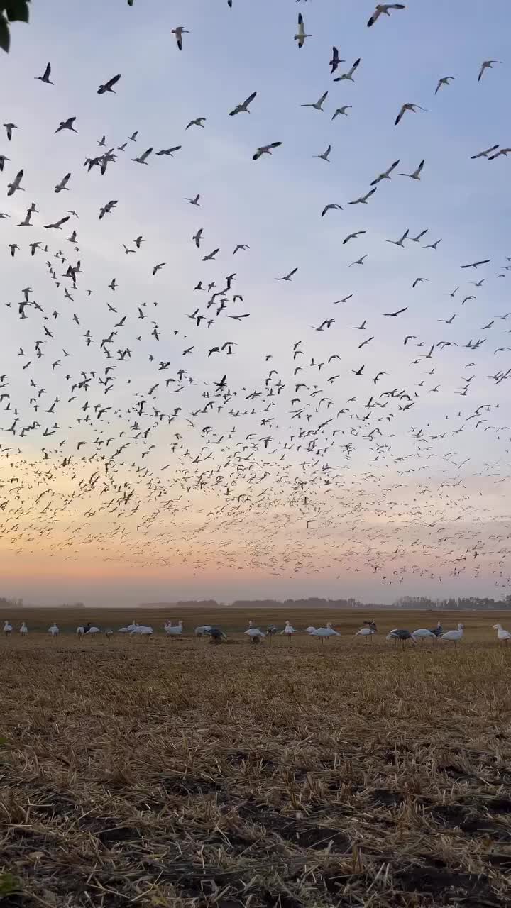 Video post from northernskiesoutfitters.