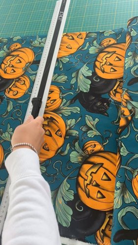 Video post from elephantinmyhandbag.
