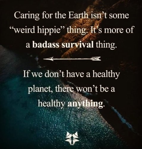 Photo post from wildwitchesmagic.
