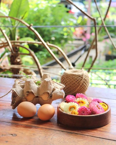 Photo post from currumbinvalleyharvest.