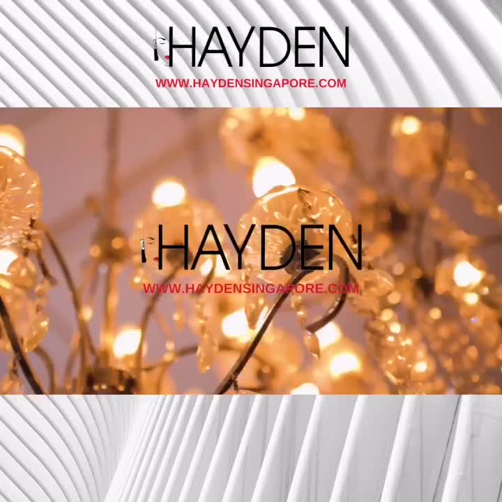 Video post from hayden_ng_sg.