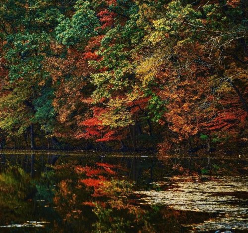 Carousel post from dutchesstourism.